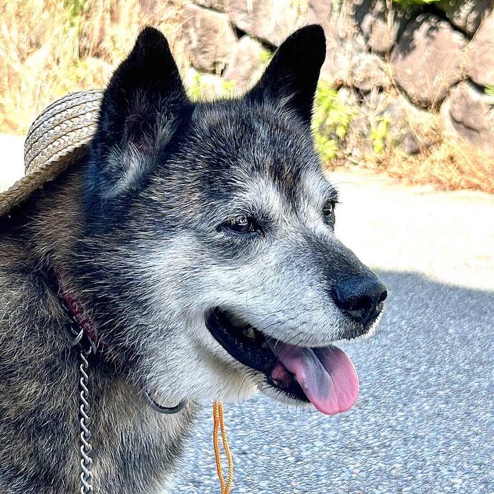 492222ba 6fd2 436f 8736 485db1bc7f0a 1755312777529