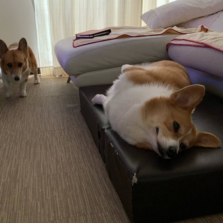 492242f4 7248 4b69 8e4b 6d97c58d4a75 1599373088392