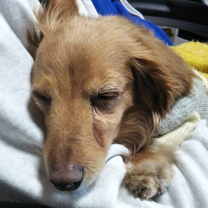 49225470 1b66 43e5 a74f d28a3dd2728c 1612655223807