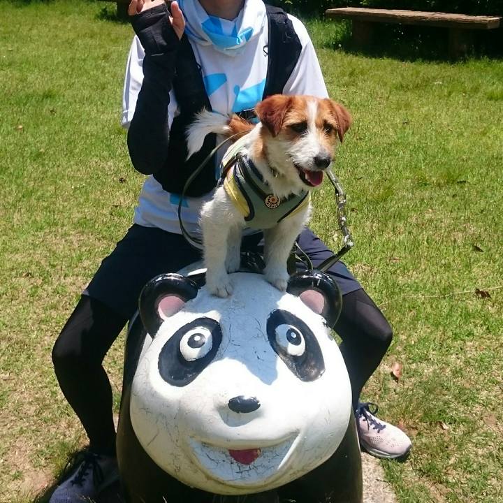 49225e15 1b1f 4d1b b979 b2cb2be5171f 1560000840585