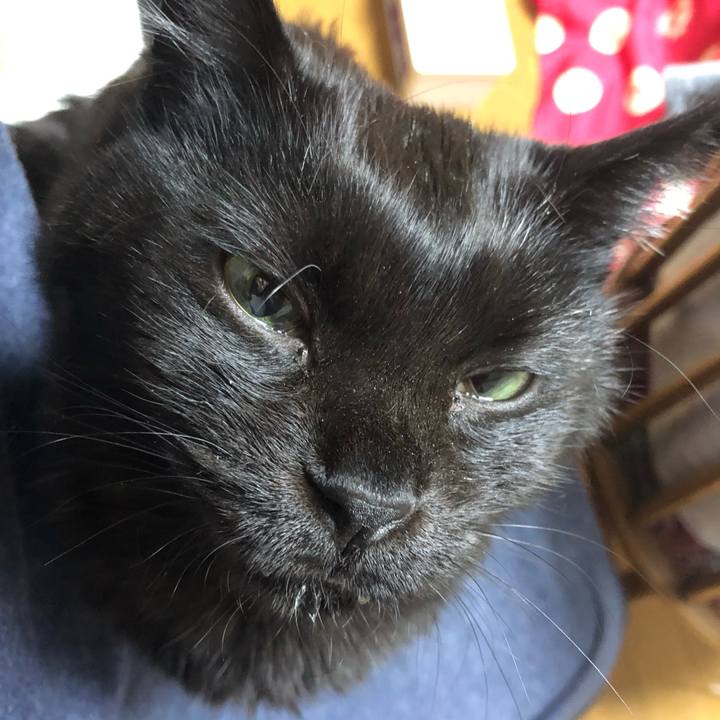 49228545 96e4 42e4 a6ae 0967c276e52e 1617458261117