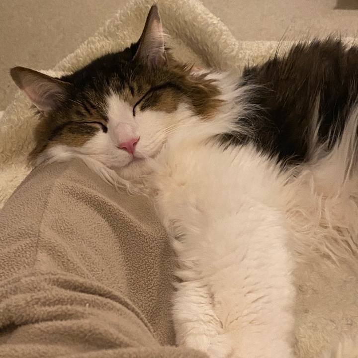 4922edde 59e6 43dc 8763 0597c4b7f039 1674000009891