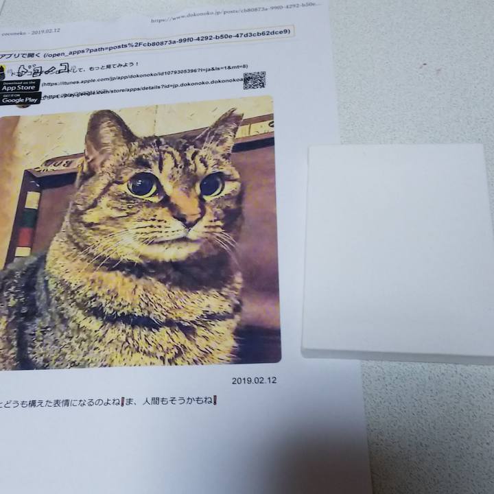 49232a6f d793 4b79 bd88 6bd2569e3418 1556605619891