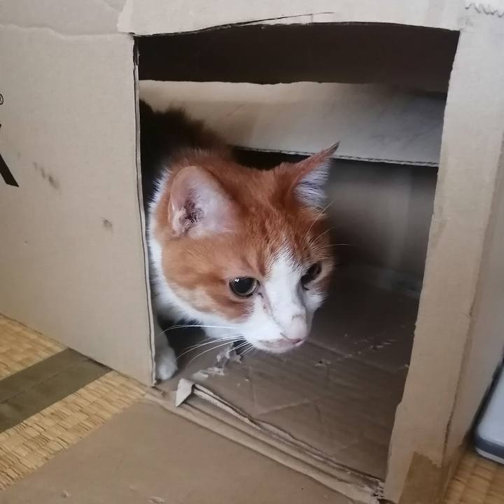 49233622 6770 462a 95c0 17f0fc00ac39 1622328446155