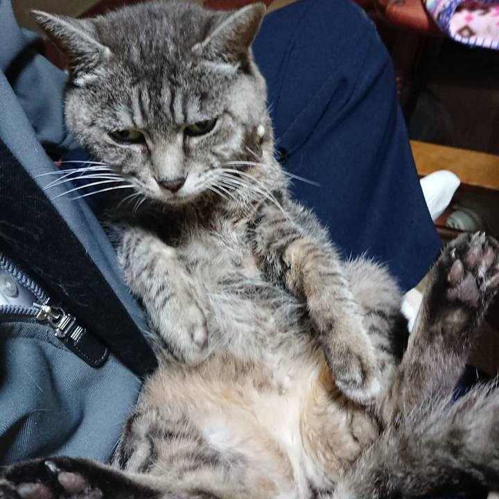 4923745c cf08 4035 8864 566a9bf8f572 1604781929613