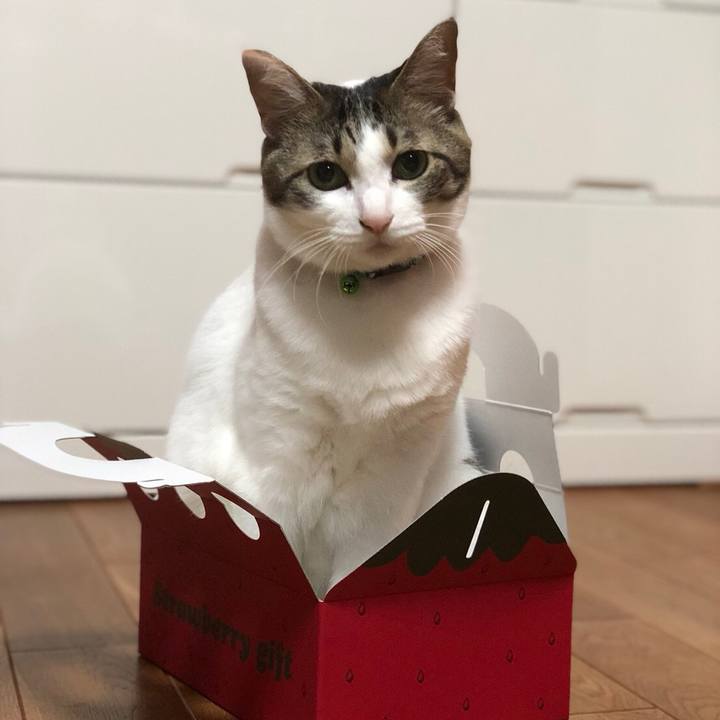 492379f2 5ab9 4f74 8fa0 9503fe8f2c2e 1523277260523