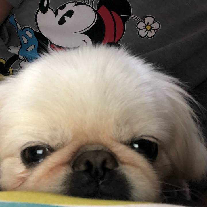 49237adc 751c 4d9c b0d1 23a5195a70f7 1537364585665