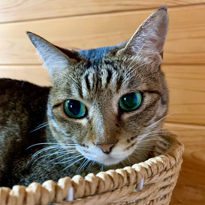 49238a9e 97f6 4b56 b59a 9da9c6b4027b 1618360808778