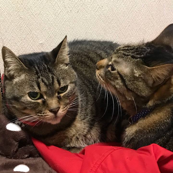 4923903f 4e9c 4d26 889d 2972d59acb6a 1648904523931