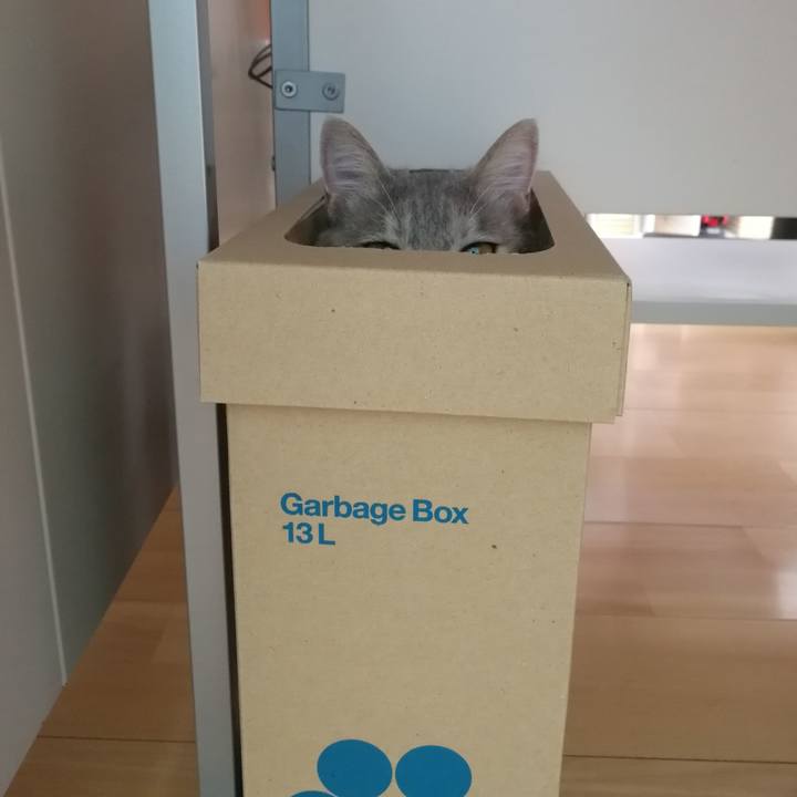 4923c3c1 ca95 457f 879a 71269add90af 1530528897340