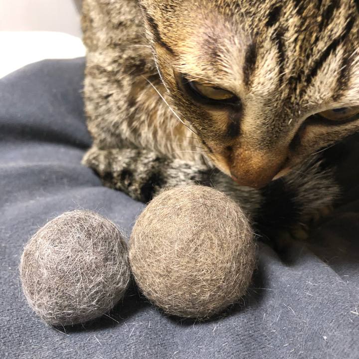 4923dfb5 a94b 4d29 8d48 afb79355cb32 1522683394726