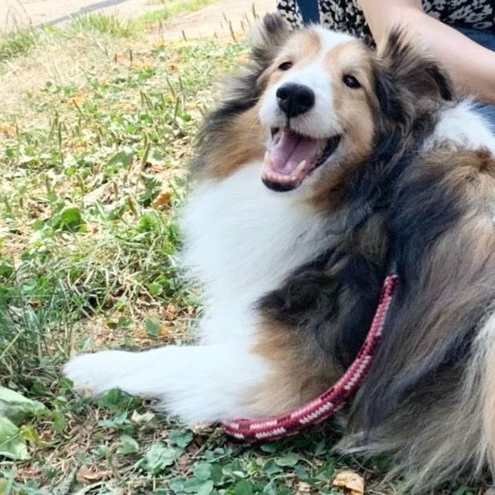 4923e0d8 1168 4afb a042 b375b893a6f9 1736407511263