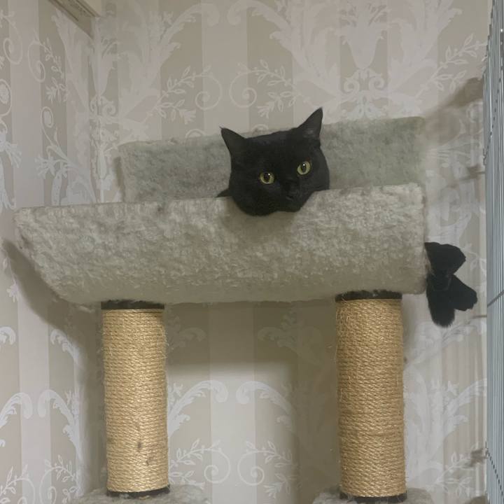 4923fc8f cabb 4b5e a786 a1edce5ad704 1600942003860