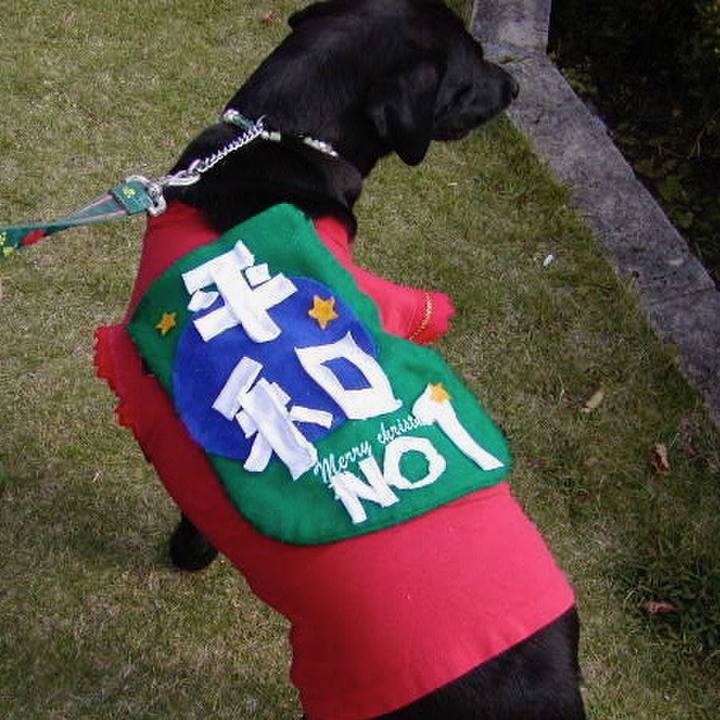 49245521 e8d3 4c52 9e83 5a673de8d2ab 1646748737075