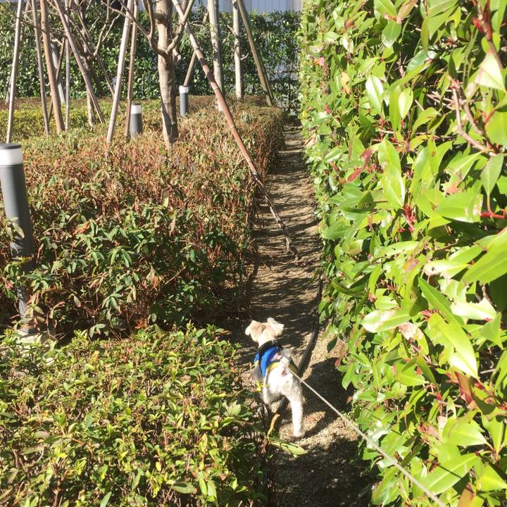 4924832c b753 4c5e a186 f358e71e5967 1519977253082