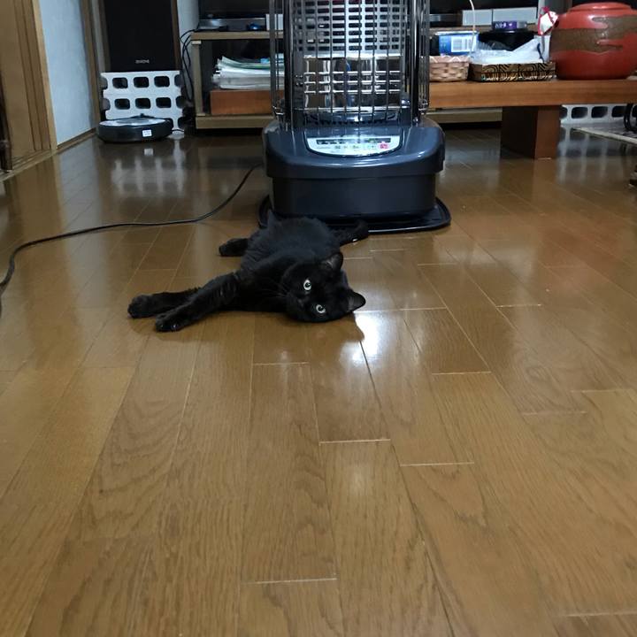 49249d48 7b8a 448c a0d5 dca7327935cb 1580305604224