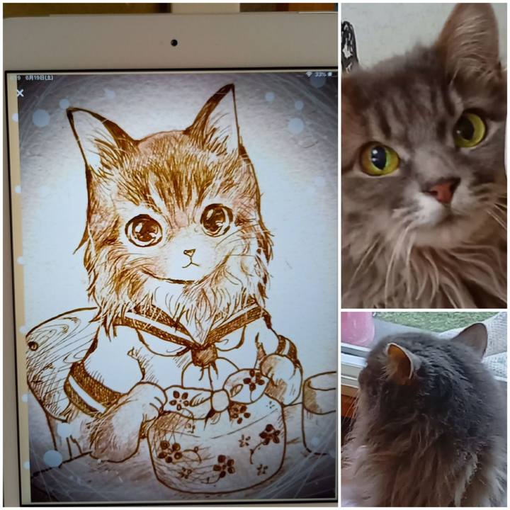 4924d1d7 3452 4f1b b5d5 4f71bc143e19 1624058765745