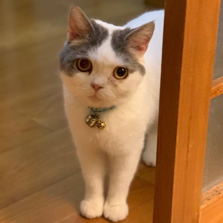 4924f57a b6cc 401b 847c 22fedfeff4a4 1635807425568