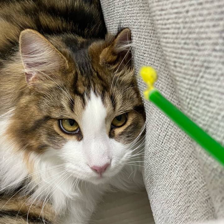 49252642 536c 44ca b482 1f4c60185377 1642597032044