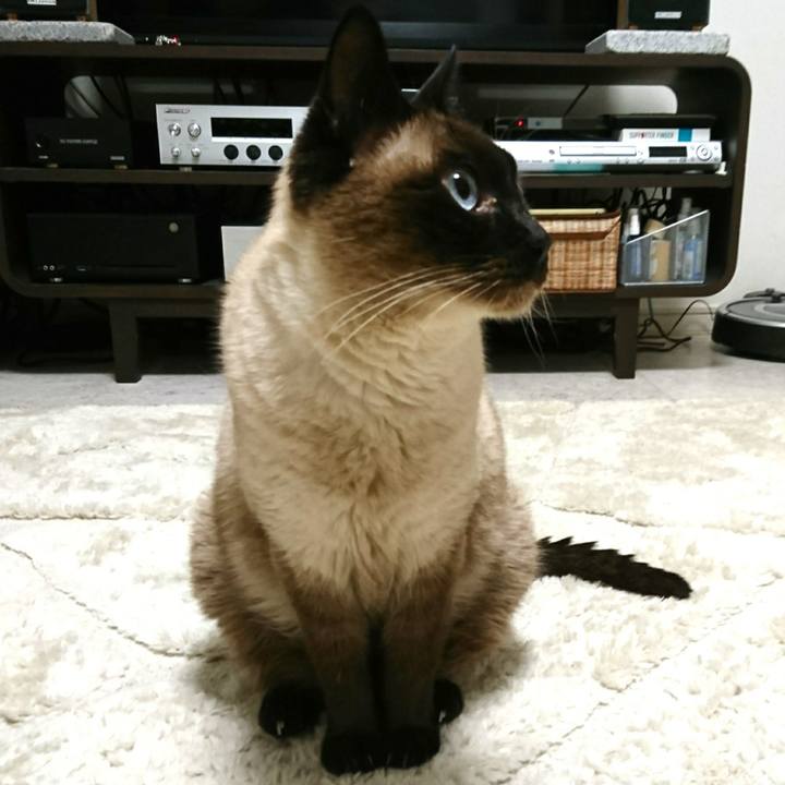 4925407e 5a6b 4af4 b584 8e1d3b631d30 1553207225528