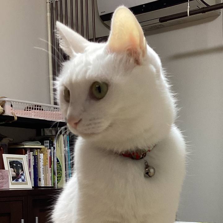 49254882 b790 4960 ba78 ab93d0b6c5ac 1672612827430