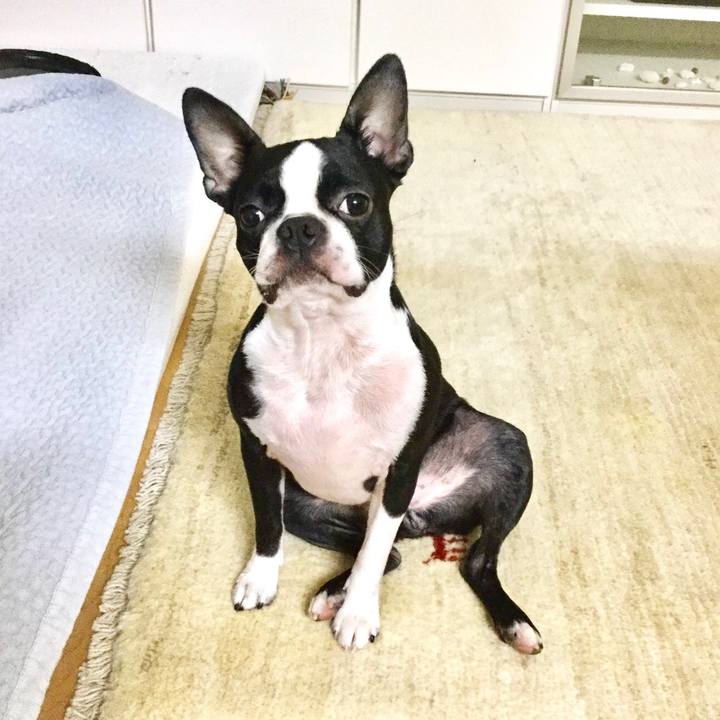 49255c79 26a6 4b94 a2af 1fc186f709f4 1517142921735