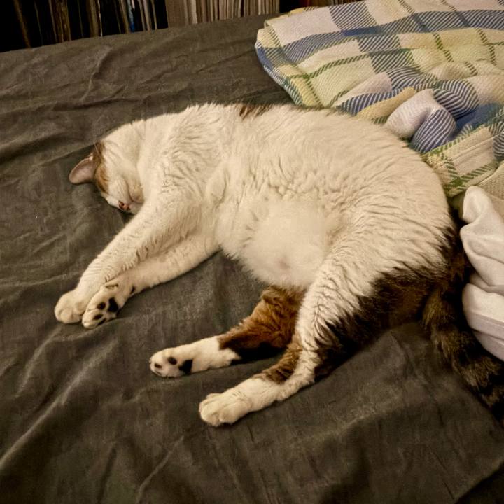 49256b0c 5908 450e bf26 88db3e51b6ef 1759248947411