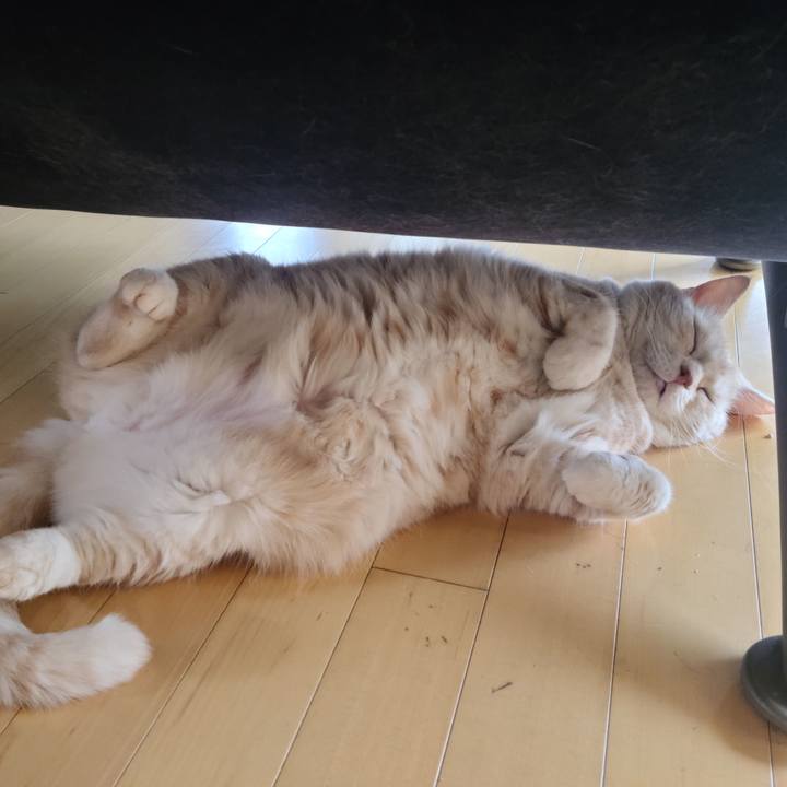 49257f0f cb9a 4480 9497 16a221b93973 1695951175422