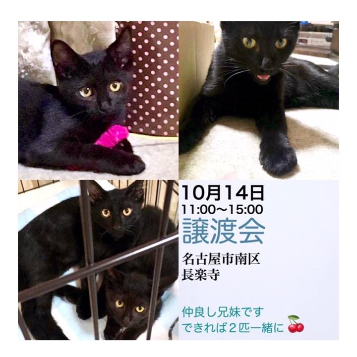 492597c2 4c08 4fc8 b8a3 7d73f9750020 1539396216100