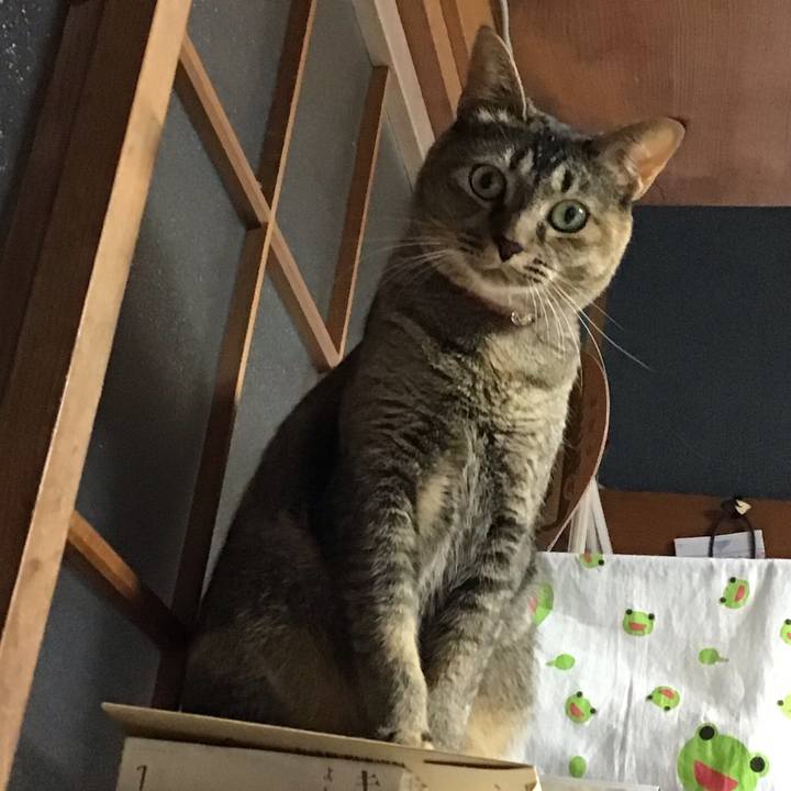 4925c983 f340 4def 9b18 8246229359ad 1628761937416