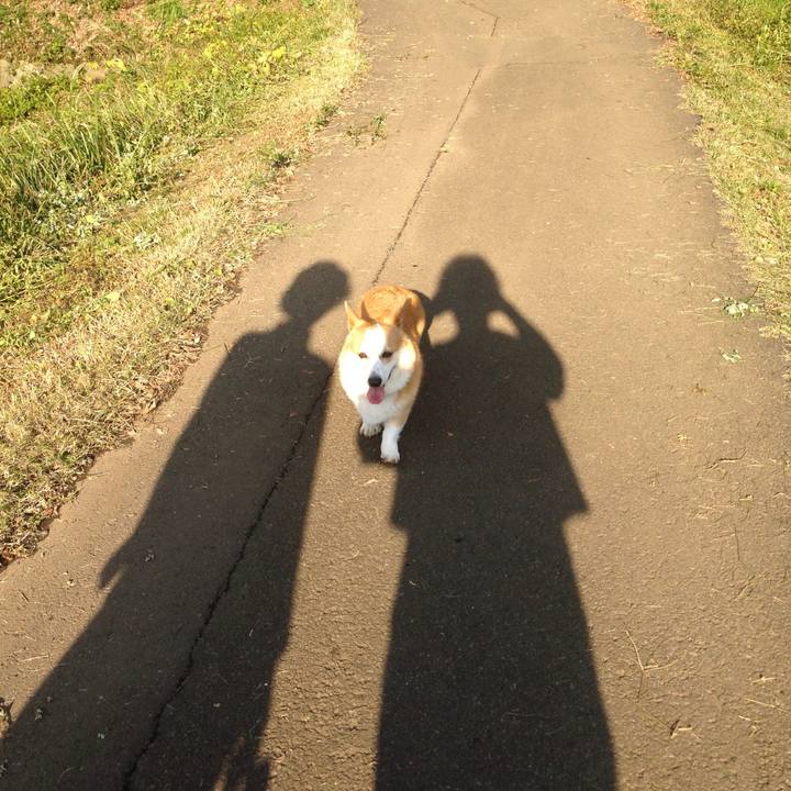 492629e2 9627 47da b1ee 7e4d444dc067 1540716378856