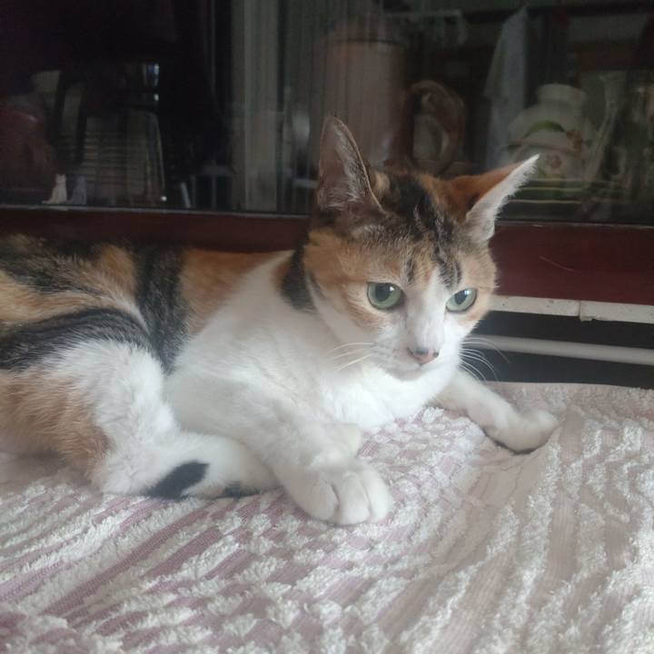 4926365b b29c 421d bcc7 e745b29aba95 1714520634754