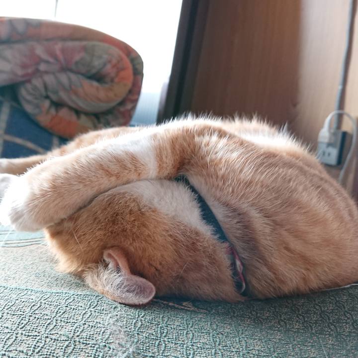 4926389f 4b7a 4faa ac53 840d9dd85cf8 1567311828491