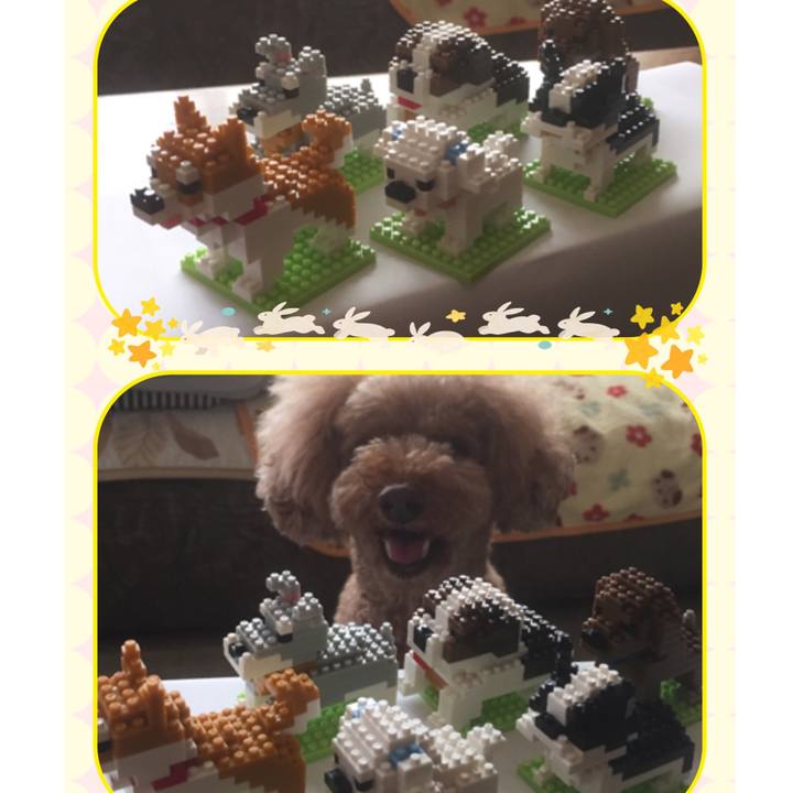 492652dc d333 405a b1ee 59fcad4fd3df 1537247342401