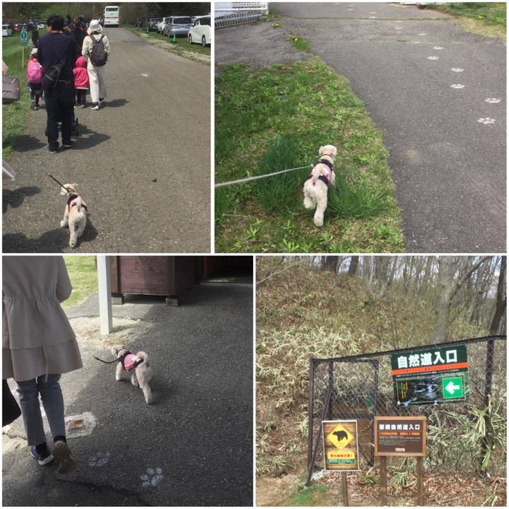 4926795b 2c56 4013 9494 1e4826d64f42 1556694877149