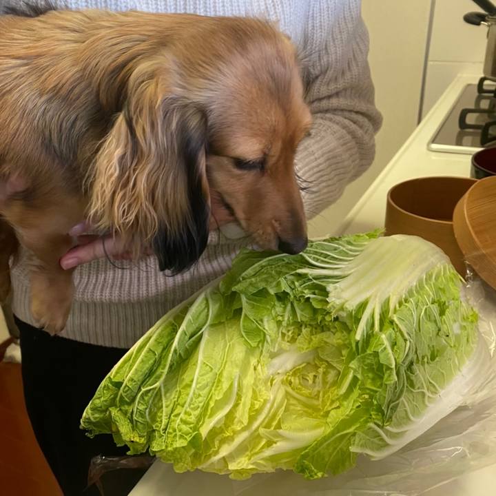 492698b2 b2c9 447f a50b 09eb8c2b81fe 1638750547267