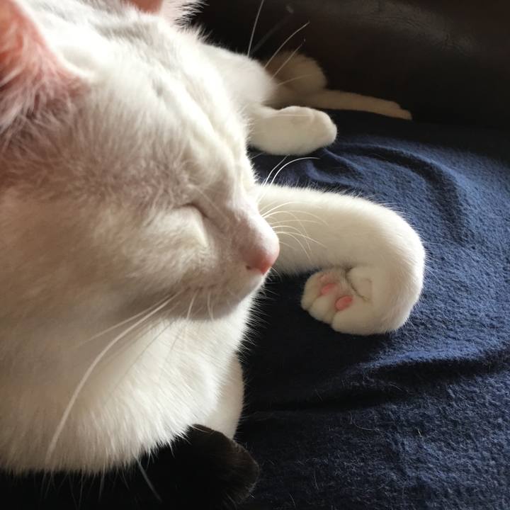 4926a435 ec10 4fc5 a4cf ed73fc595a51 1510888743251