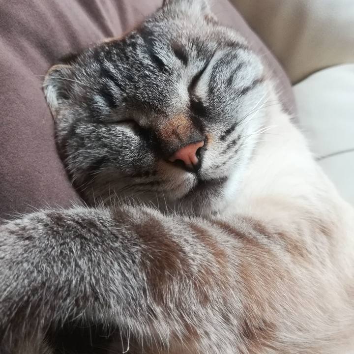 4926d823 23d8 4c31 b560 b5e32f675df7 1593690325021