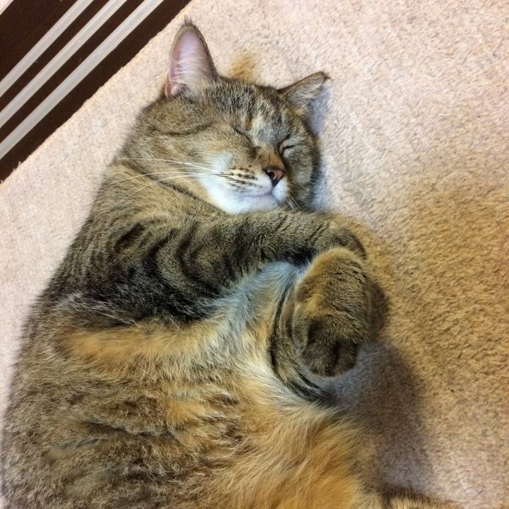 4926dd1a 1f90 4ff5 943a b63a52d033f0 1569887055632