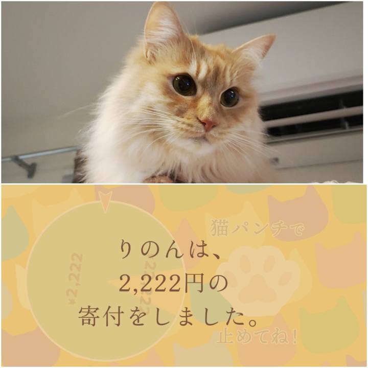 49270bca 2adf 479b 811d 3a5543a95e93 1708593982146