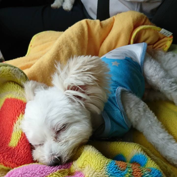 4927389a 0fea 4dc8 ac8a 013a8e0f0f98 1567591446889