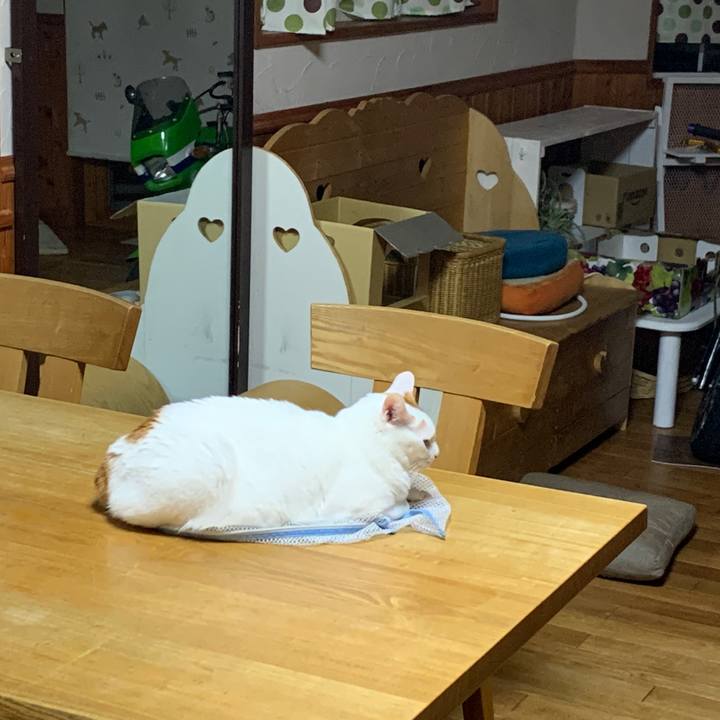 49275ea2 5333 4885 a86d ab7db70c4828 1662472093434