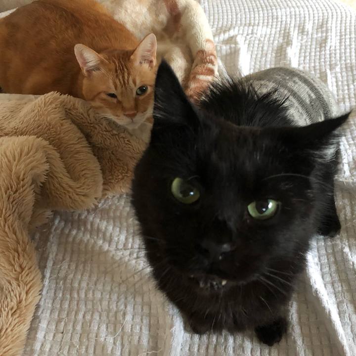 49277fc9 28d9 44dc 9a83 b48a19370baf 1635370786805