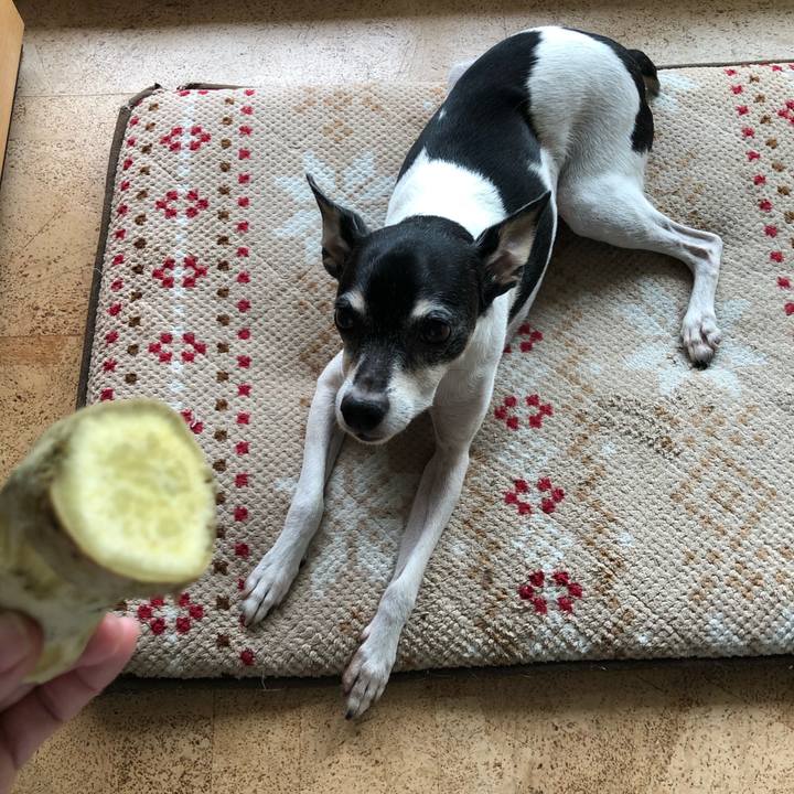 492790cb b456 4041 89ea 14a87f7f3dcb 1569143564141