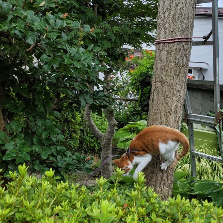 49279ef1 185c 41b1 a707 ed55389d0eba 1565832949742