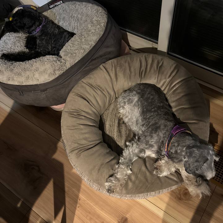 4927a326 e276 4160 afec f615f82b9183 1698664617799