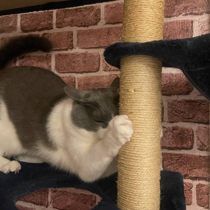 4927a90e f045 4668 8efe 494c18afac69 1701961952313