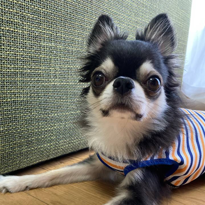 4927ddfa 2e44 4e1b a9c9 52baaf03c3bc 1688222017378