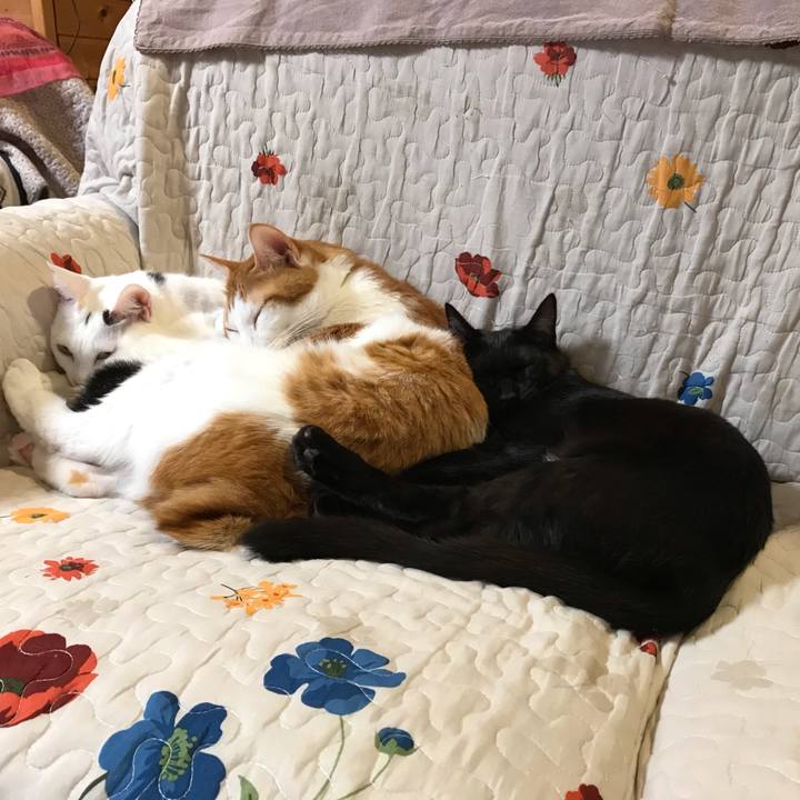 49283f9b 1361 43f9 a5d5 78be87e18b78 1572258442393