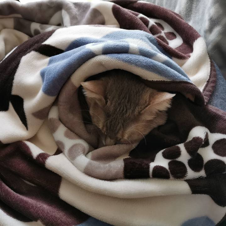 49284bd3 8938 44d1 a247 da8e62ae832a 1674358092063